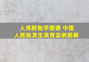 人体胚胎学图谱 中国人胚胎发生发育实例图解